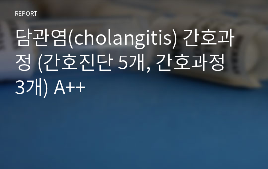 담관염(cholangitis) 간호과정 (간호진단 5개, 간호과정 3개) A++