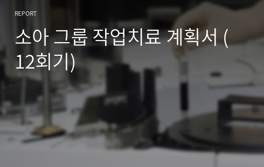 소아 그룹 작업치료 계획서 (12회기)