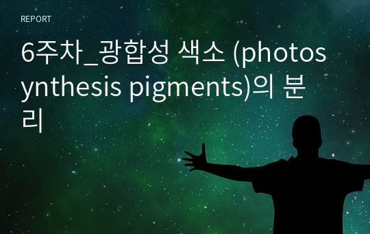 6주차_광합성 색소 (photosynthesis pigments)의 분리