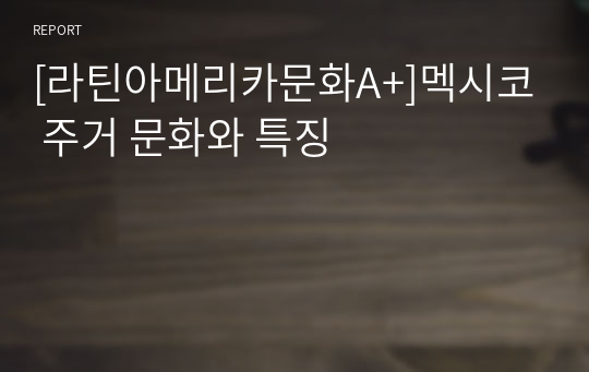 [라틴아메리카문화A+]멕시코 주거 문화와 특징