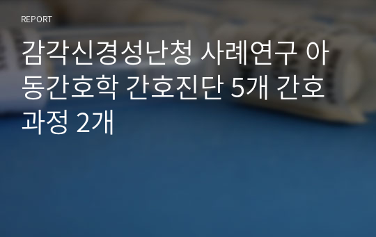 감각신경성난청 사례연구 아동간호학 간호진단 5개 간호과정 2개