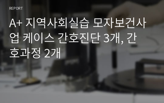 A+ 지역사회실습 모자보건사업 케이스 간호진단 3개, 간호과정 2개