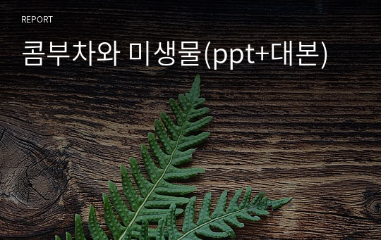 콤부차와 미생물(ppt+대본)