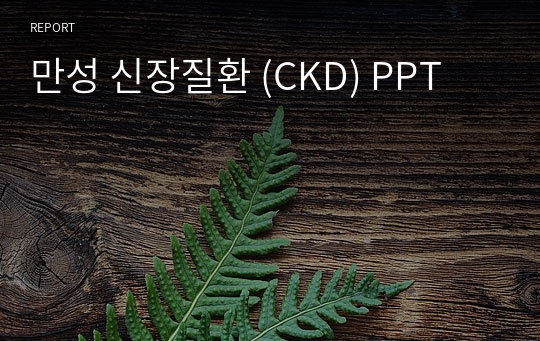 만성 신장질환 (CKD) PPT
