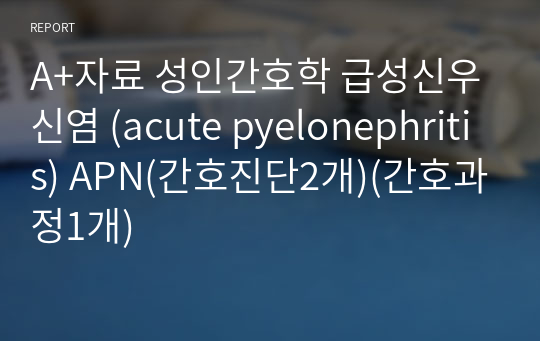 A+자료 성인간호학 급성신우신염 (acute pyelonephritis) APN(간호진단2개)(간호과정1개)