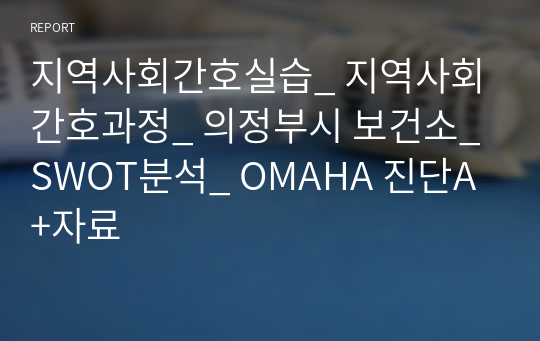 지역사회간호실습_ 의정부시 보건소 CNP_ SWOT분석_ OMAHA 진단 A+자료