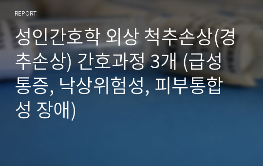 성인간호학 외상 척추손상(경추손상) 간호과정 3개 (급성통증, 낙상위험성, 피부통합성 장애)