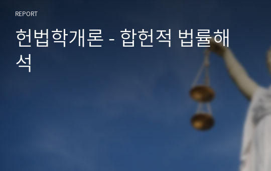 헌법학개론 - 합헌적 법률해석