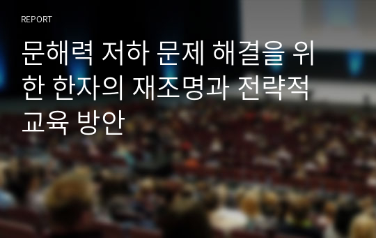 문해력 저하 문제 해결을 위한 한자의 재조명과 전략적 교육 방안