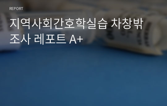 지역사회간호학실습 차창밖조사 레포트 A+