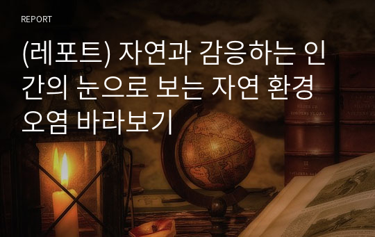 (레포트) 자연과 감응하는 인간의 눈으로 보는 자연 환경오염 바라보기