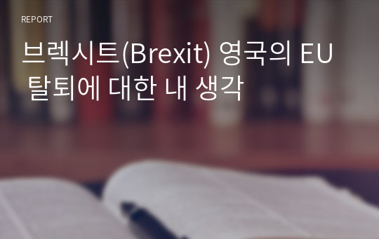 브렉시트(Brexit) 영국의 EU 탈퇴에 대한 내 생각