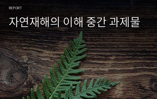 자연재해의 이해 중간 과제물