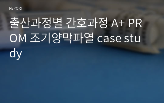 출산과정별 간호과정 A+ PROM 조기양막파열 case study