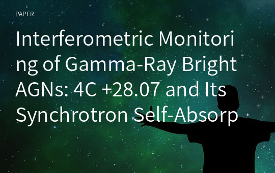 Interferometric Monitoring of Gamma-Ray Bright AGNs: 4C +28.07 and Its Synchrotron Self-Absorption Spectrum