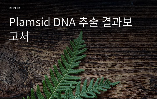 Plamsid DNA 추출 결과보고서