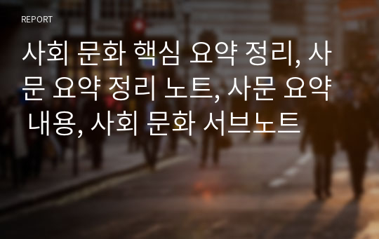 사회 문화 핵심 요약 정리, 사문 요약 정리 노트, 사문 요약 내용, 사회 문화 서브노트