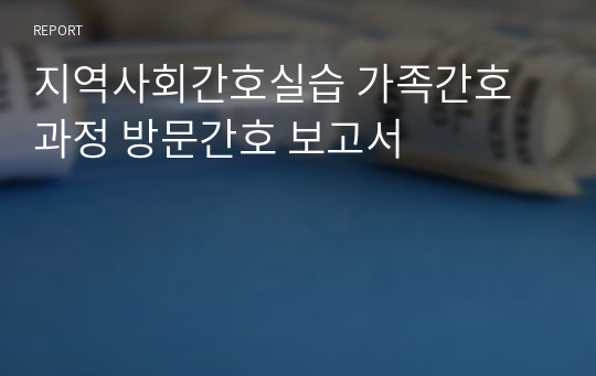 지역사회간호실습 가족간호과정 방문간호 보고서