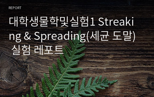 대학생물학및실험1 Streaking &amp; Spreading(세균 도말) 실험 레포트