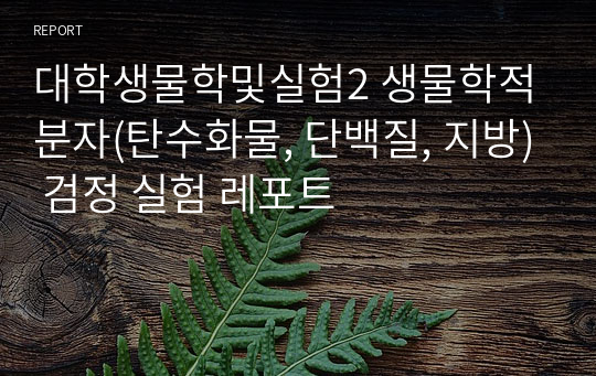 대학생물학및실험2 생물학적 분자(탄수화물, 단백질, 지방) 검정 실험 레포트