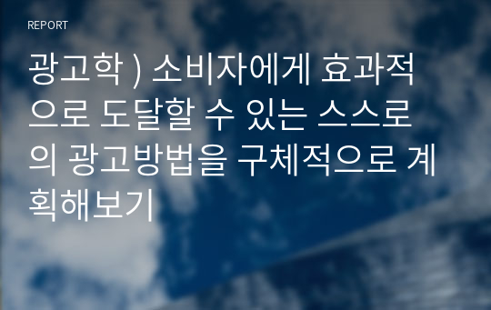 광고학 ) 소비자에게 효과적으로 도달할 수 있는 스스로의 광고방법을 구체적으로 계획해보기