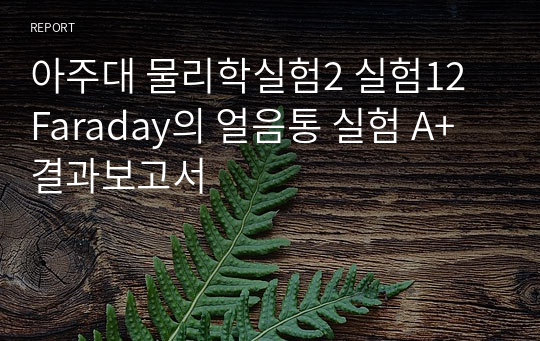 아주대 물리학실험2 실험12 Faraday의 얼음통 실험 A+ 결과보고서