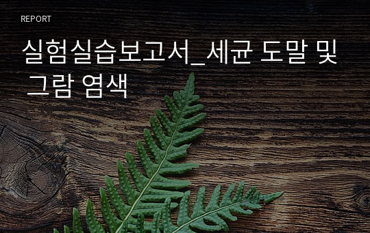 실험실습보고서_세균 도말 및 그람 염색