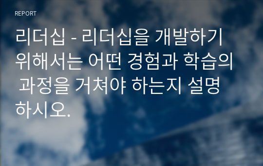 리더십 - 리더십을 개발하기 위해서는 어떤 경험과 학습의 과정을 거쳐야 하는지 설명하시오.