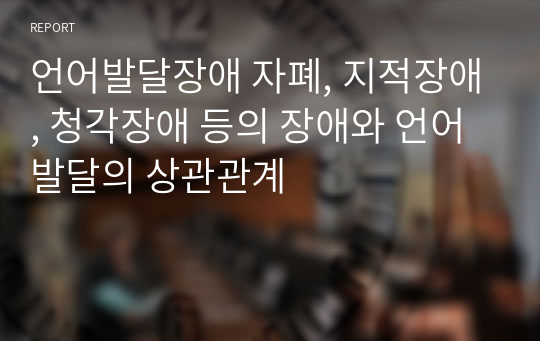 언어발달장애 자폐, 지적장애, 청각장애 등의 장애와 언어발달의 상관관계