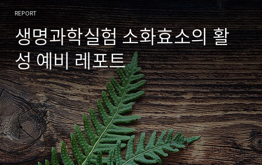 생명과학실험 소화효소의 활성 예비 레포트