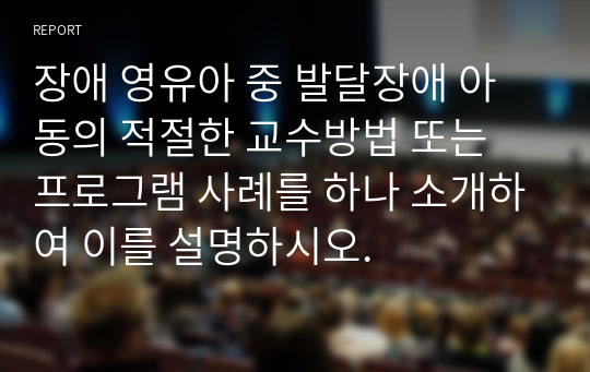 장애 영유아 중 발달장애 아동의 적절한 교수방법 또는 프로그램 사례를 하나 소개하여 이를 설명하시오.