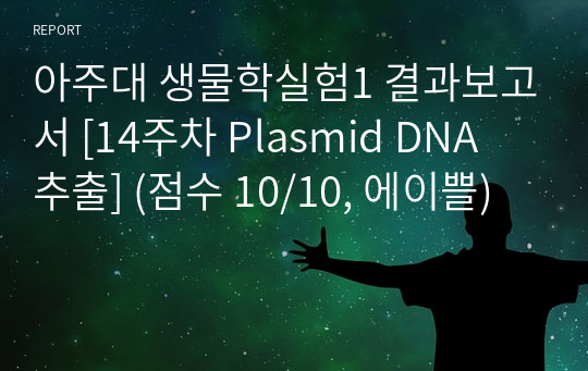 아주대 생물학실험1 결과보고서 [14주차 Plasmid DNA 추출] (점수 10/10, 에이쁠)