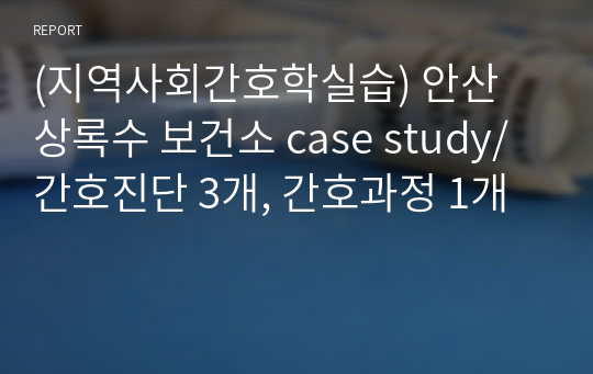 (지역사회간호학실습) 안산 상록수 보건소 case study/간호진단 3개, 간호과정 1개