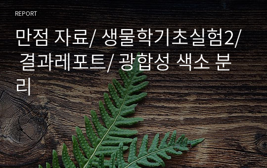 만점 자료/ 생물학기초실험2/ 결과레포트/ 광합성 색소 분리