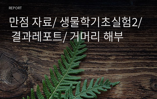 만점 자료/ 생물학기초실험2/ 결과레포트/ 거머리 해부