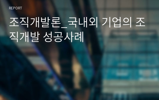 조직개발론_국내외 기업의 조직개발 성공사례