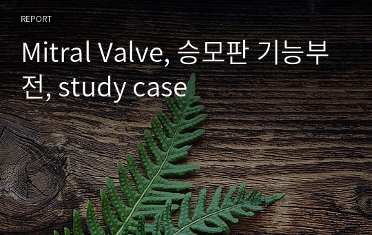 Mitral Valve, 승모판 기능부전, study case