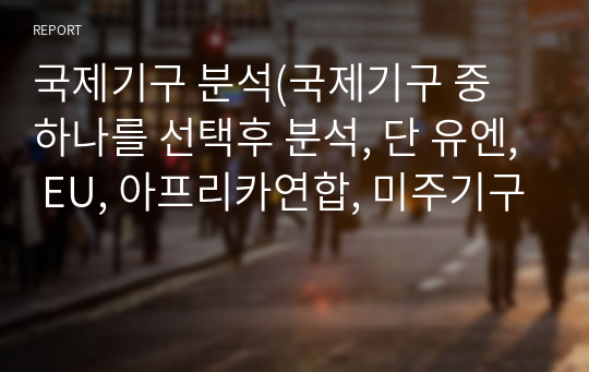 국제기구 분석(국제기구 중 하나를 선택후 분석, 단 유엔, EU, 아프리카연합, 미주기구