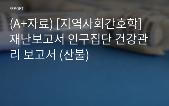 (A+자료) [지역사회간호학] 재난보고서 인구집단 건강관리 보고서 (산불)