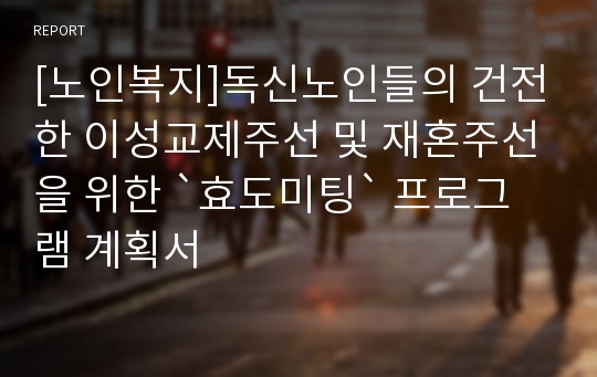 [노인복지]독신노인들의 건전한 이성교제주선 및 재혼주선을 위한 `효도미팅` 프로그램 계획서