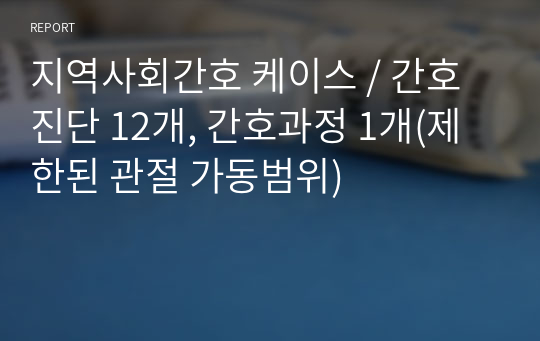 지역사회간호 케이스 / 간호진단 12개, 간호과정 1개(제한된 관절 가동범위)