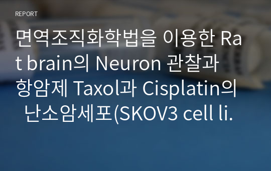 면역조직화학법을 이용한 Rat brain의 Neuron 관찰과 항암제 Taxol과 Cisplatin의  난소암세포(SKOV3 cell line)에서의 민감도 측정