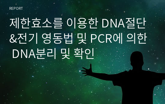 제한효소를 이용한 DNA절단&amp;전기 영동법 및 PCR에 의한 DNA분리 및 확인