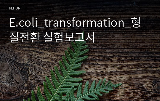 E.coli_transformation_형질전환 실험보고서