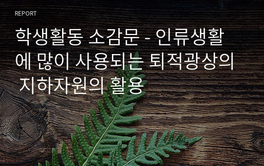 학생활동 소감문 - 인류생활에 많이 사용되는 퇴적광상의 지하자원의 활용