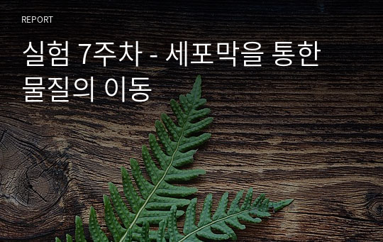 실험 7주차 - 세포막을 통한 물질의 이동