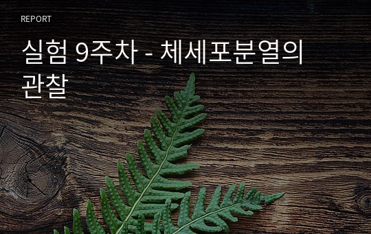 실험 9주차 - 체세포분열의 관찰