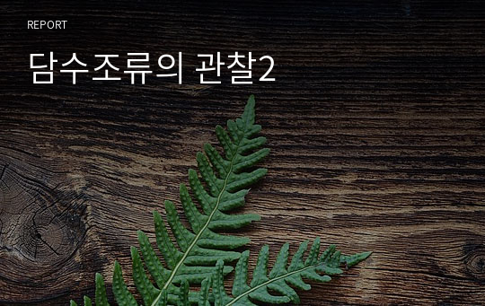 담수조류의 관찰2