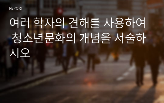 여러 학자의 견해를 사용하여 청소년문화의 개념을 서술하시오