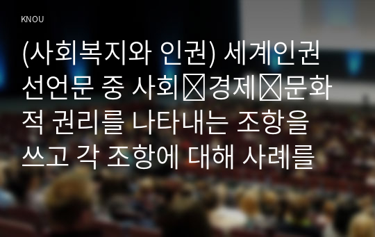 (사회복지와 인권) 세계인권선언문 중 사회․경제․문화적 권리를 나타내는 조항을 쓰고 각 조항에 대해 사례를